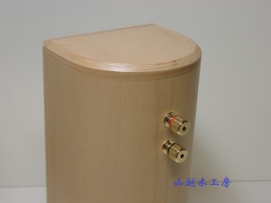 SP10-SSN20120928-02