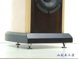SP2500spike01